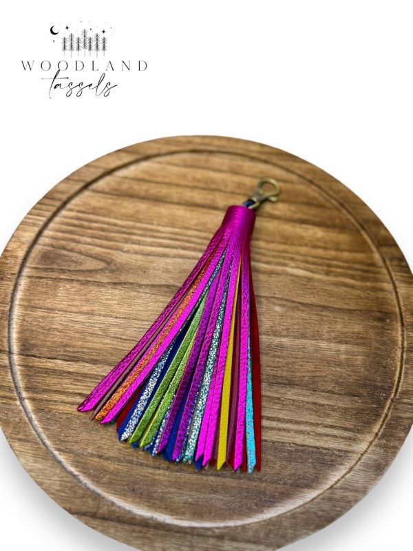 Product Image for  Hottie Rainbow Leather Tassel🌈