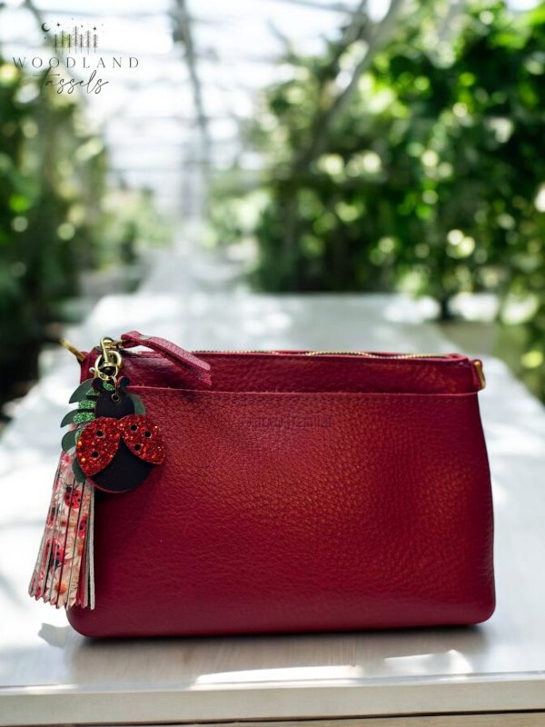 Product Image for  Ladybug Tassel