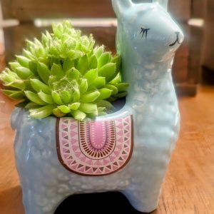 Product Image for  Little Llama Succulent Planter- Light Blue