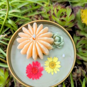 Product Image for  Cactus Flower Soy Coconut Candle