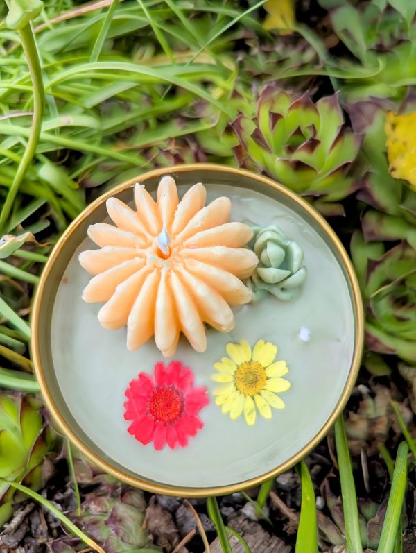 Product Image for  Cactus Flower Soy Coconut Candle