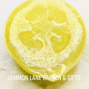 Product Image for  Lemon Luffa Soap