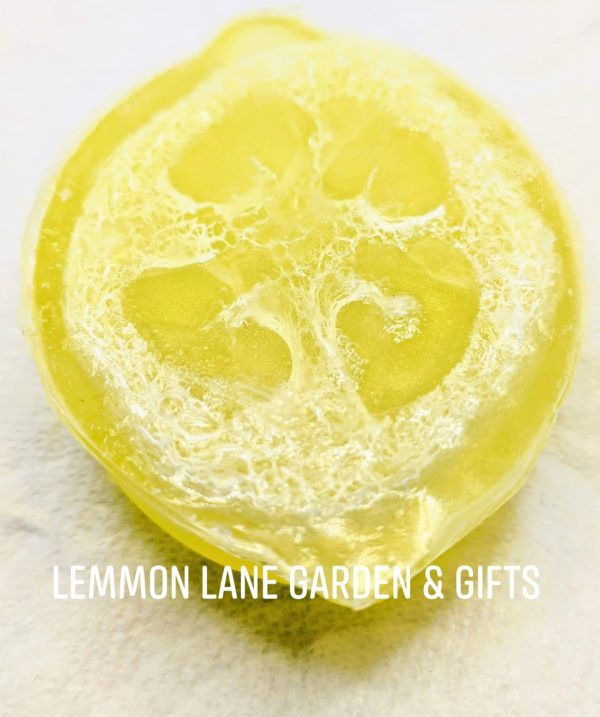 Product Image for  Lemon Luffa Soap